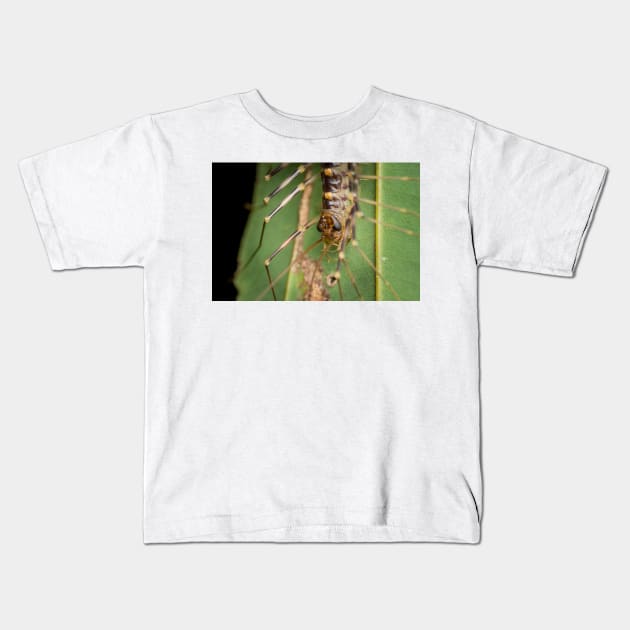 A fierce looking house centipede (Scutigera coleoptrata) Kids T-Shirt by AvonPerception